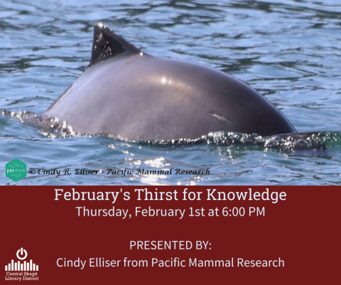 An image of a dolphin surfacing. Beneath the picture is an overlay of text that provides the same information found within the description of this event page.